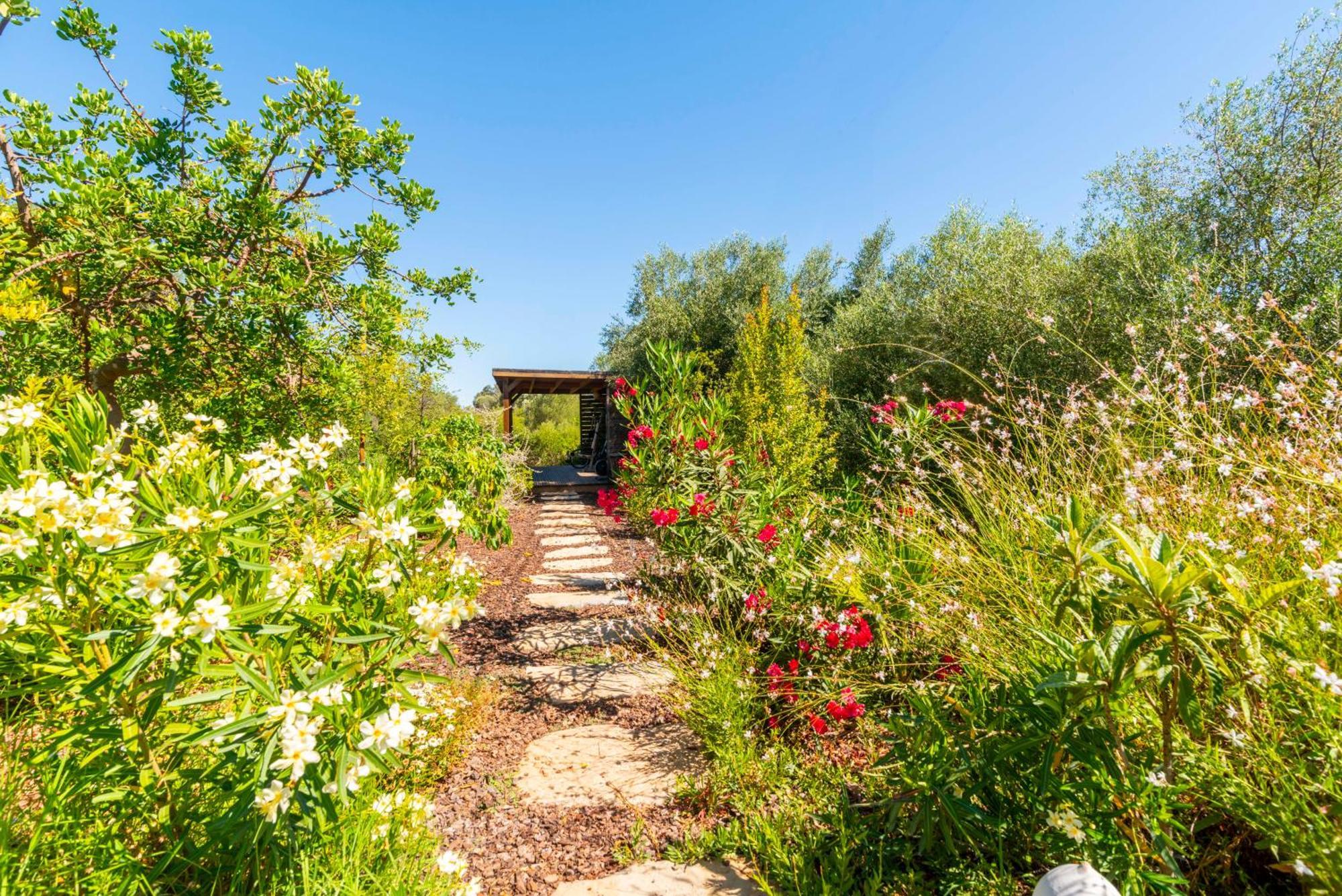 Laranjal Farm House مونكاراباشو المظهر الخارجي الصورة